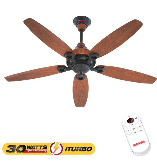 Royal | Ornament - iTurbo 30 Watts Fan