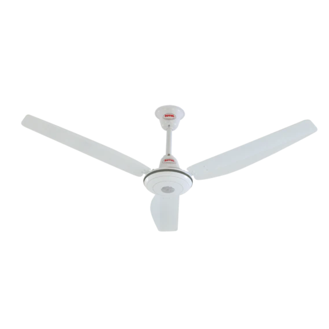 Royal Hi-Standard Ceiling Fan